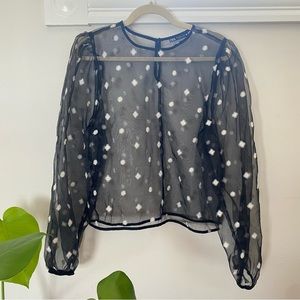 Sheer Zara Blouse